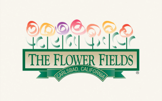 The Flower Fields