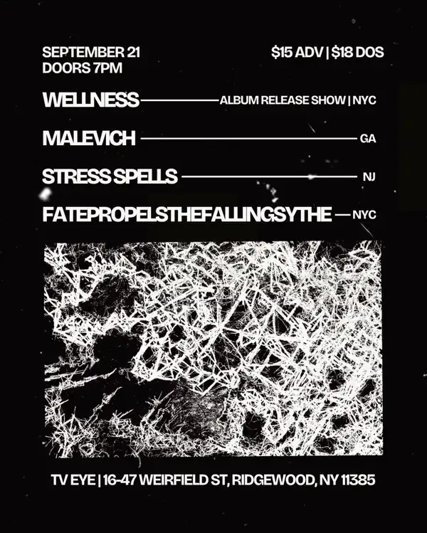 Wellness Album Release Show