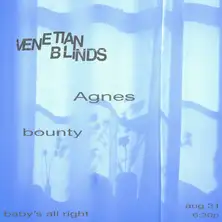Venetian Blinds