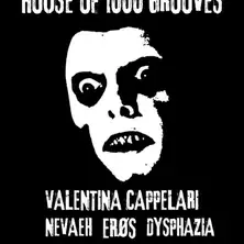 HOUSE OF 1000 GROOVES