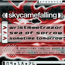Skycamefalling