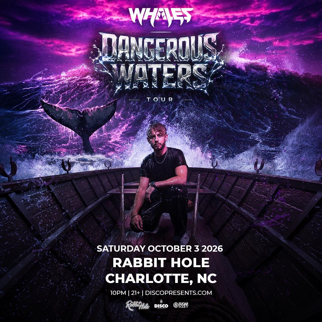 WHALES - CHARLOTTE
