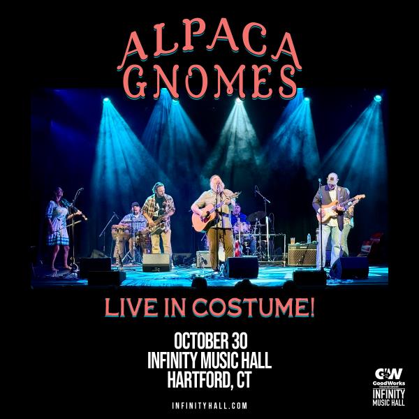 The Alpaca Gnomes - Live in Costume!